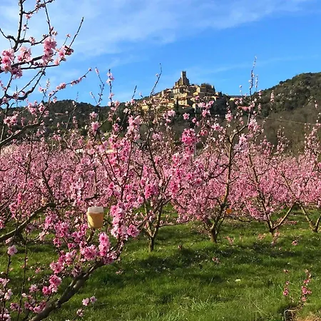 Pensionat Casa Ilicia Eus