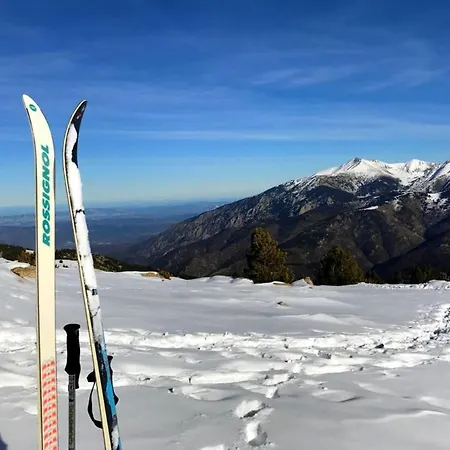 Casa Ilicia Pensionat